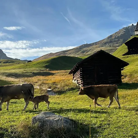 Soeni * Arosa
